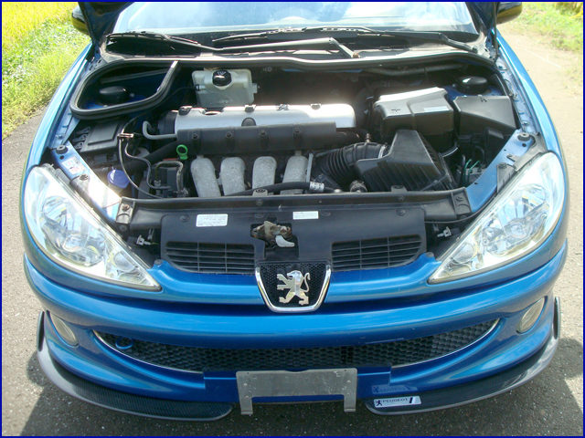 Peugeot 206 RC SPORT